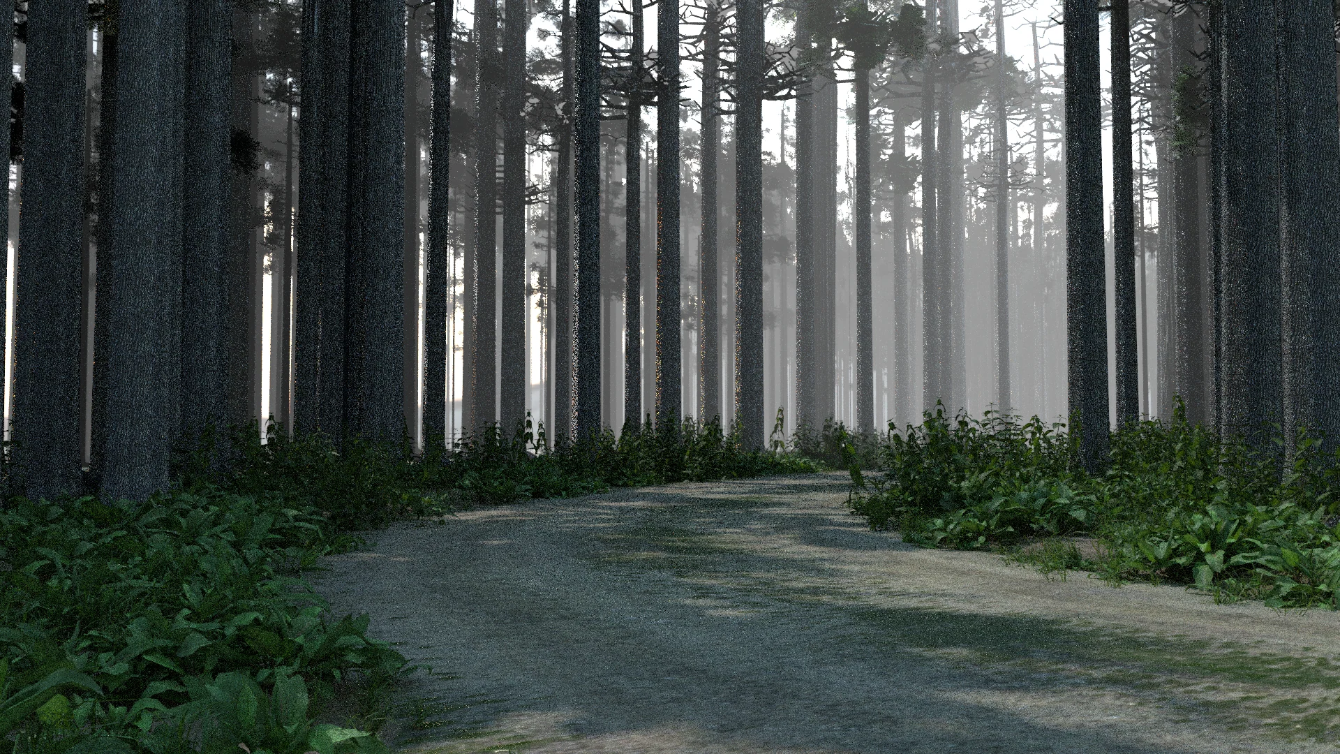 A road curves through tall pine trees and green undergrowth in pale mist.