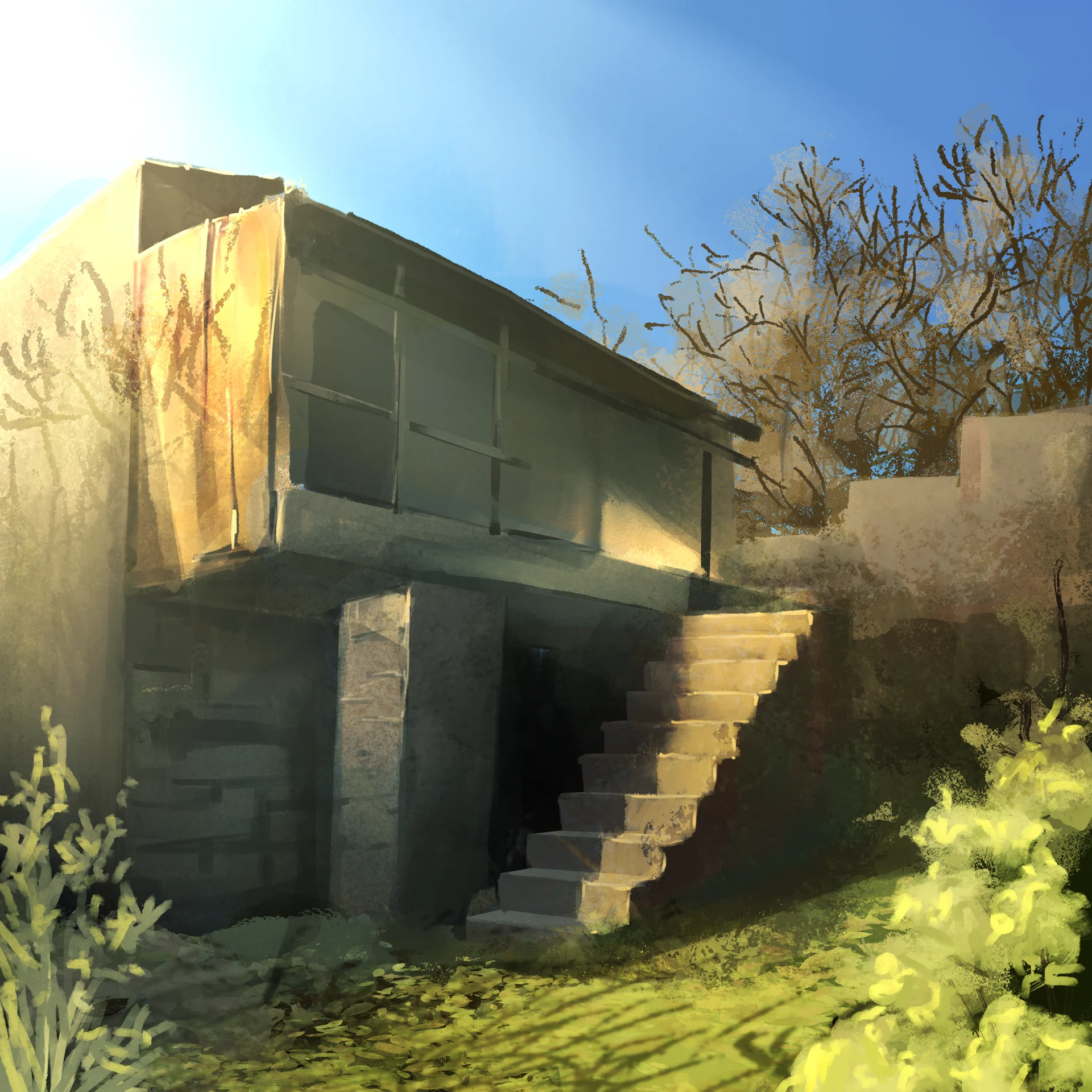 Sunlight falls on an outdoor staircase and a small house surrounded by grass and bare branches.